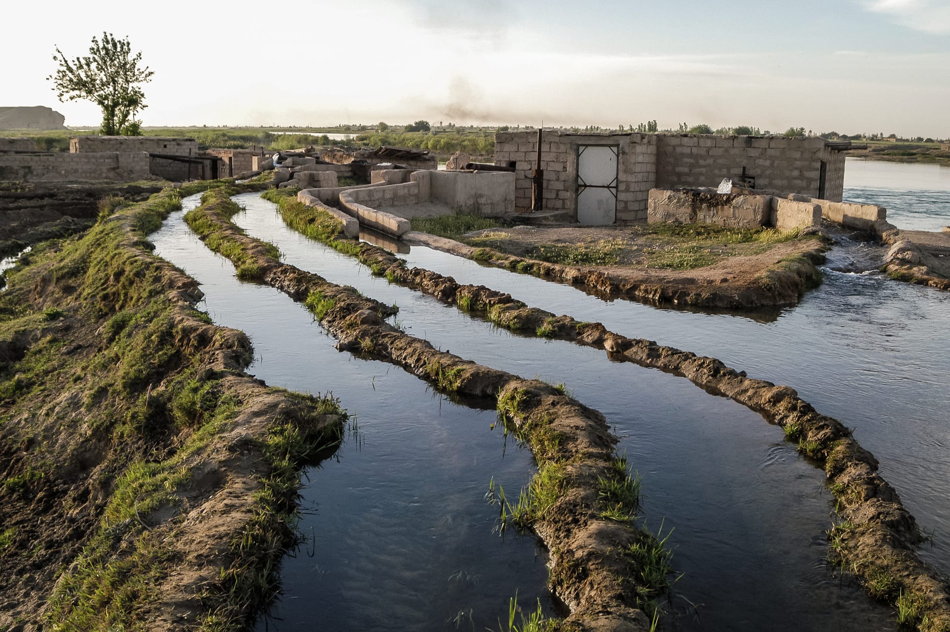 Irrigation canals running through farmland beside a river.