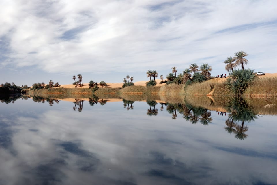 Palm trees and dunes reflected in the lake of an oasis in the Sahara.